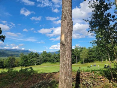 Discover your slice of paradise with this exceptional 1.75-acre on  in New Hampshire - for sale on GolfHomes.com, golf home, golf lot