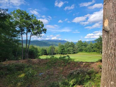 Discover your slice of paradise with this exceptional 1.75-acre on  in New Hampshire - for sale on GolfHomes.com, golf home, golf lot