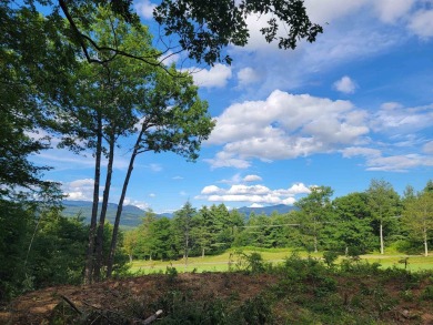 Discover your slice of paradise with this exceptional 1.75-acre on  in New Hampshire - for sale on GolfHomes.com, golf home, golf lot