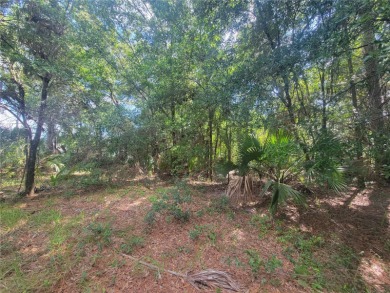 A remarkable price for this .25 acre in beautiful Crystal River! on Seven Rivers Golf and Country Club in Florida - for sale on GolfHomes.com, golf home, golf lot