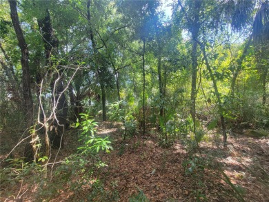 A remarkable price for this .25 acre in beautiful Crystal River! on Seven Rivers Golf and Country Club in Florida - for sale on GolfHomes.com, golf home, golf lot