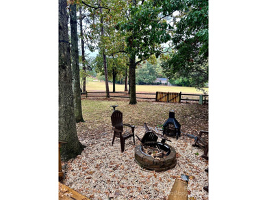 16144 Tana Tea Circle on Tega Cay Golf Club in South Carolina - for sale on GolfHomes.com, golf home, golf lot