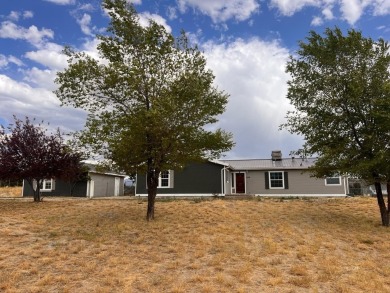 Welcome to 338 Flora Dr, nestled in the sought-after Golf Course on Spring Creek Golf Course in Nevada - for sale on GolfHomes.com, golf home, golf lot