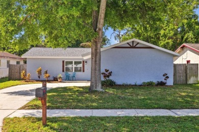 Welcome to 2882 Cathy Lane in Clearwater, Florida--an incredible on Cove Cay Country Club in Florida - for sale on GolfHomes.com, golf home, golf lot