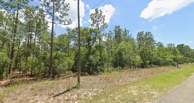 Under contract-accepting backup offers. Build your future home on Citrus Springs Country Club in Florida - for sale on GolfHomes.com, golf home, golf lot