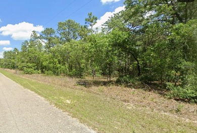 Under contract-accepting backup offers. Build your future home on Citrus Springs Country Club in Florida - for sale on GolfHomes.com, golf home, golf lot