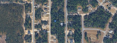 Under contract-accepting backup offers. Build your dream home in on Citrus Springs Country Club in Florida - for sale on GolfHomes.com, golf home, golf lot