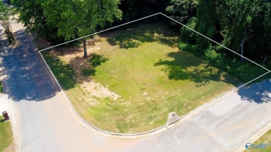 The LAST buildable lot in Burningtree Estates and it is located on Burningtree Country Club in Alabama - for sale on GolfHomes.com, golf home, golf lot