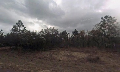 Under contract-accepting backup offers. Prime opportunity for on Citrus Springs Country Club in Florida - for sale on GolfHomes.com, golf home, golf lot