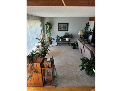 3 bed 2.5 bath home with Main floor master, open floor plan on Shirkey Golf Course in Missouri - for sale on GolfHomes.com, golf home, golf lot