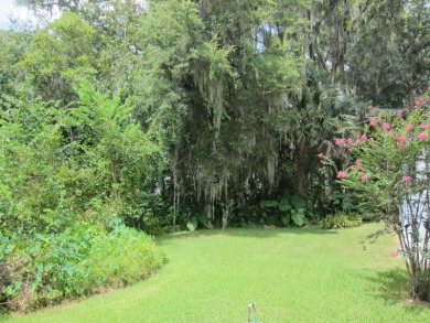 Welcome to Your Private Oasis w Peace and Serenity Only Nature on Bay Tree Golf Course in Florida - for sale on GolfHomes.com, golf home, golf lot