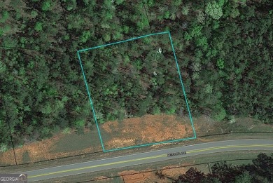 River Forest building lot. 1.15 Acres. Private lot. River Forest on The Club River Forest in Georgia - for sale on GolfHomes.com, golf home, golf lot