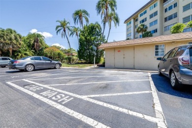 Beautiful Remodeled 2 bedroom, 2 bathroom,  condo with no age on Seminole Lake Country Club in Florida - for sale on GolfHomes.com, golf home, golf lot