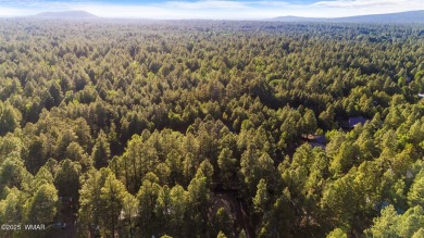 Don't miss this opportunity to own a meticulously maintained and on Pinetop Lakes Golf and Country Club in Arizona - for sale on GolfHomes.com, golf home, golf lot