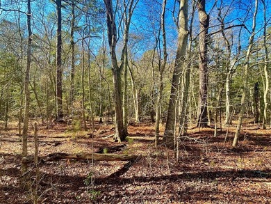 BUILDABLE PARCEL! Neptune Drive is a paved road the entire way on Captains Cove Golf and Yacht Club in Virginia - for sale on GolfHomes.com, golf home, golf lot