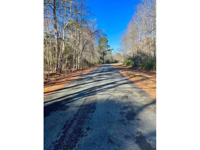 BUILDABLE PARCEL! Neptune Drive is a paved road the entire way on Captains Cove Golf and Yacht Club in Virginia - for sale on GolfHomes.com, golf home, golf lot