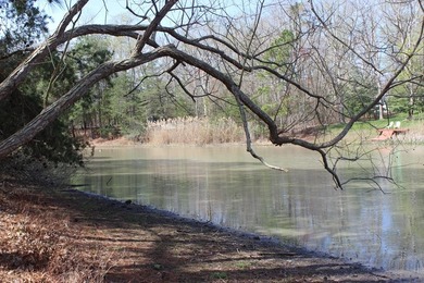 4/1856 Does sitting on you back deck or gazebo looking out over on Captains Cove Golf and Yacht Club in Virginia - for sale on GolfHomes.com, golf home, golf lot