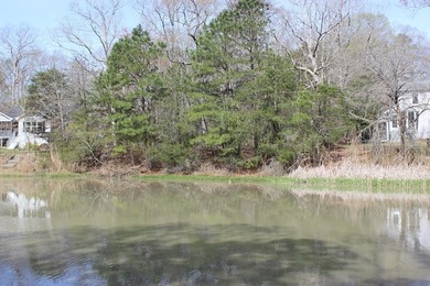 4/1856 Does sitting on you back deck or gazebo looking out over on Captains Cove Golf and Yacht Club in Virginia - for sale on GolfHomes.com, golf home, golf lot