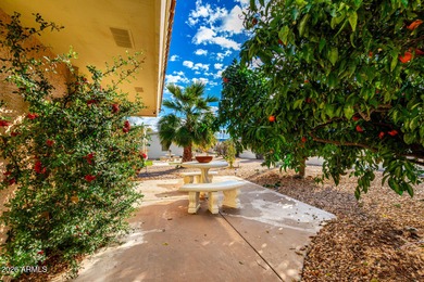 Very desirable Rio Verde property with a partial basement for on Rio Verde Country Club - Quail Run in Arizona - for sale on GolfHomes.com, golf home, golf lot