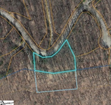 Nestled in the mountains just minutes from Greenville, SC, make on The Cliffs Valley in North Carolina - for sale on GolfHomes.com, golf home, golf lot