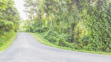 Nestled in a serene setting, this property offers a unique sense on Tellico Village Golf Club in Tennessee - for sale on GolfHomes.com, golf home, golf lot