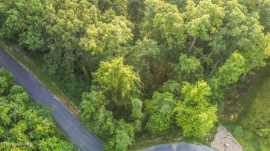 Nestled in a serene setting, this property offers a unique sense on Tellico Village Golf Club in Tennessee - for sale on GolfHomes.com, golf home, golf lot