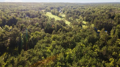 This beautifully designed home offers the perfect blend of on Michaywe Pines Course in Michigan - for sale on GolfHomes.com, golf home, golf lot