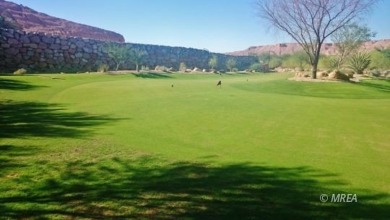 Convenient, comfortable modern finish features in a simple on Conestoga Golf Club in Nevada - for sale on GolfHomes.com, golf home, golf lot