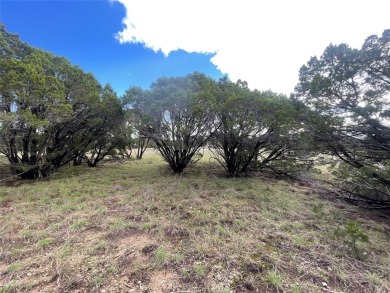 Beautiful flat .85 acre lot. This large lot give you multiple on The Retreat in Texas - for sale on GolfHomes.com, golf home, golf lot