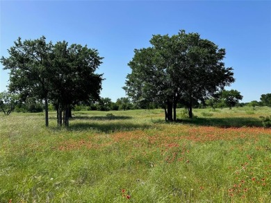 Beautiful lot that adjoins the golf course at fairway 14, lot on Hideout Golf Club and Resort  in Texas - for sale on GolfHomes.com, golf home, golf lot