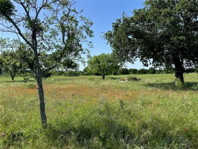 Beautiful lot that adjoins the golf course at fairway 14, lot on Hideout Golf Club and Resort  in Texas - for sale on GolfHomes.com, golf home, golf lot