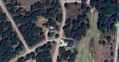 BUILD YOUR DREAM HOME IN THE PRESTIGIOUS GATED COMMUNITY OF on White Bluff Resort - New Course in Texas - for sale on GolfHomes.com, golf home, golf lot