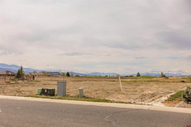 Located in the desirable Melody Rose Subdivision within The on The Bridges Golf and Country Club in Colorado - for sale on GolfHomes.com, golf home, golf lot