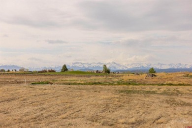 Located in the desirable Melody Rose Subdivision within The on The Bridges Golf and Country Club in Colorado - for sale on GolfHomes.com, golf home, golf lot