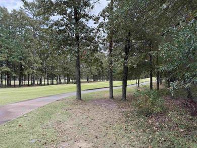 Discover the Last Exclusive Lots on the Stunning Golf Course on  in Arkansas - for sale on GolfHomes.com, golf home, golf lot
