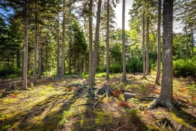 This parcel of waterfront land is perched up and out of the on Tarratine Golf Club in Maine - for sale on GolfHomes.com, golf home, golf lot