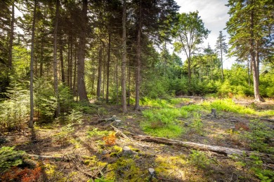 This parcel of waterfront land is perched up and out of the on Tarratine Golf Club in Maine - for sale on GolfHomes.com, golf home, golf lot