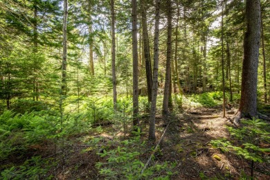 This parcel of waterfront land is perched up and out of the on Tarratine Golf Club in Maine - for sale on GolfHomes.com, golf home, golf lot