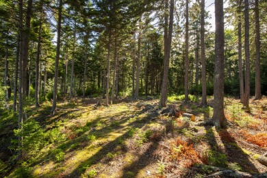 This parcel of waterfront land is perched up and out of the on Tarratine Golf Club in Maine - for sale on GolfHomes.com, golf home, golf lot