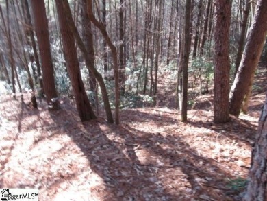 Private and secluded 2.7 acre tract with mature forests all on The Cliffs At Keowee Vineyards Golf Club in South Carolina - for sale on GolfHomes.com, golf home, golf lot