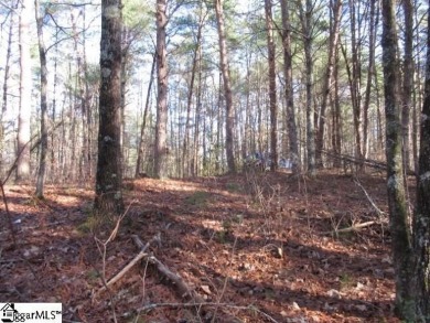 Private and secluded 2.7 acre tract with mature forests all on The Cliffs At Keowee Vineyards Golf Club in South Carolina - for sale on GolfHomes.com, golf home, golf lot