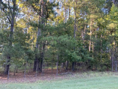 Beautiful lot available for your custom lake home. Lake view on Reynolds Lake Oconee - The Landing in Georgia - for sale on GolfHomes.com, golf home, golf lot