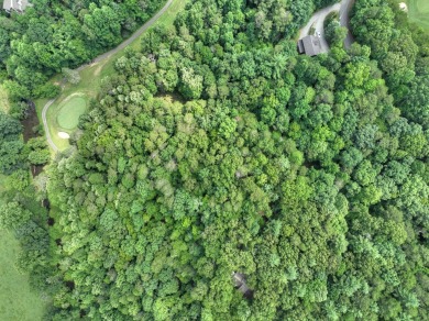 Ready to build your dream mountain home? Discover this 2.70 ACRE on White Path Golf Club in Georgia - for sale on GolfHomes.com, golf home, golf lot