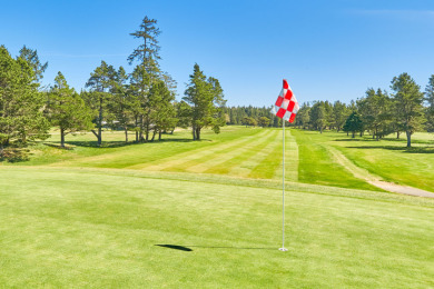 Ocean views and a Putt away from Golf! on Surfside Golf Course in Washington - for sale on GolfHomes.com, golf home, golf lot