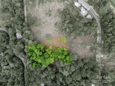 This is the year to buy land! It is a buyer's market and the on Mountain Air Country Club in North Carolina - for sale on GolfHomes.com, golf home, golf lot
