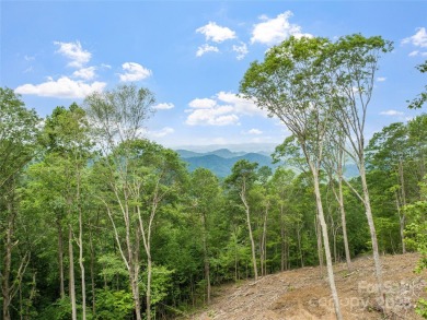 This is the year to buy land! It is a buyer's market and the on Mountain Air Country Club in North Carolina - for sale on GolfHomes.com, golf home, golf lot