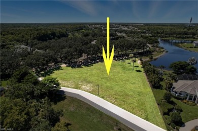 SOUTHERN EXPOSURE - LONG LAKE VIEWS - PREMIER GOLF COMMUNITY! on The Club At Twin Eagles in Florida - for sale on GolfHomes.com, golf home, golf lot
