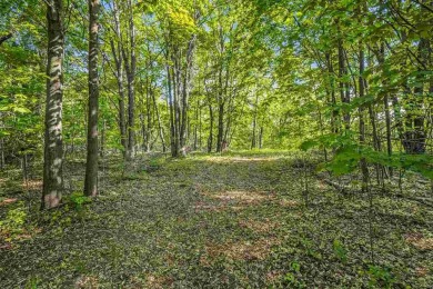Build your dream retreat on this prime .63-acre parcel nestled on Wequetonsing Golf Course in Michigan - for sale on GolfHomes.com, golf home, golf lot