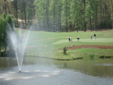 Lakefront Golf Community Home in Harbor Club! on Harbor Club Golf and Country Club in Georgia - for sale on GolfHomes.com, golf home, golf lot