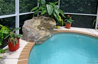 Terra Vista *CAREFREE* POOL HOME THAT'S VALUE PRICED! Located in on Skyview At Terra Vista Golf and Country Club in Florida - for sale on GolfHomes.com, golf home, golf lot